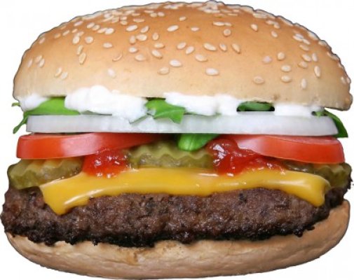Hambuger cu carne de laborator - vezi cât a costat să fie produs!